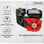   | img-1