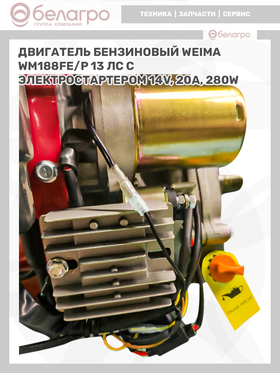   | img-12
