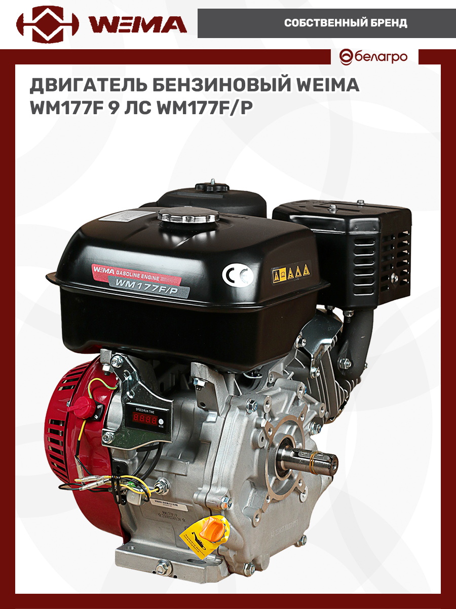   | img-8