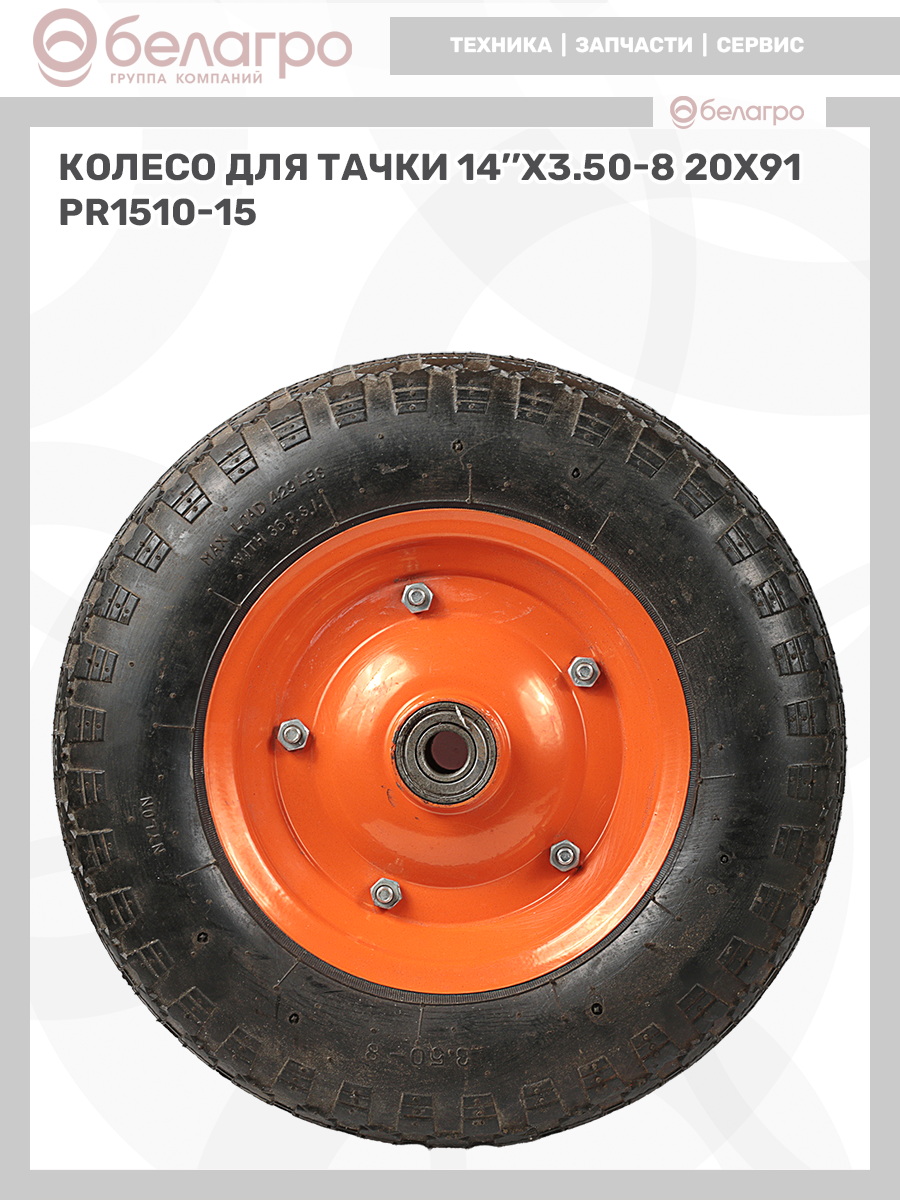   | img-10