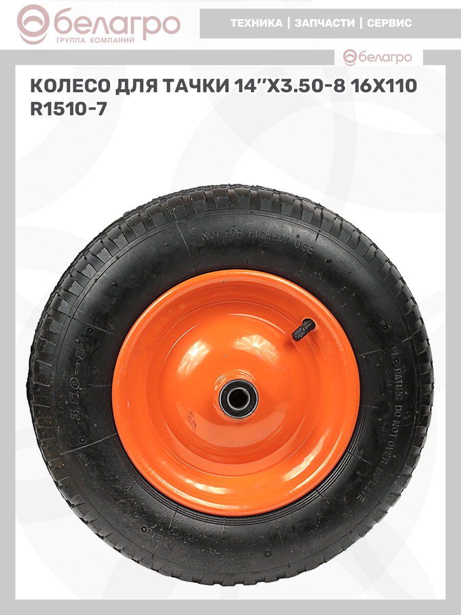   | img-10